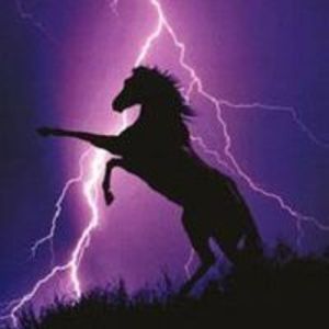 Meet your Posher, Terry